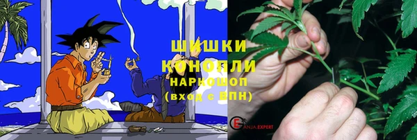 эйфоретик Пестово