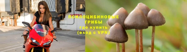 эйфоретик Пестово