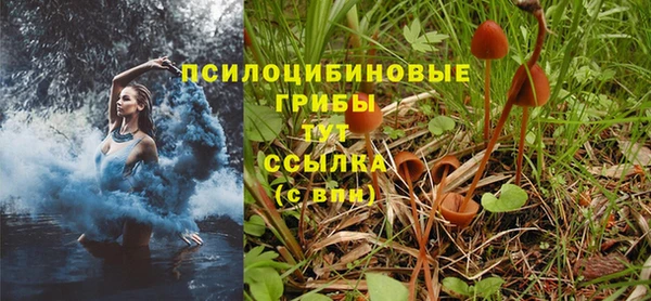 стаф Переславль-Залесский