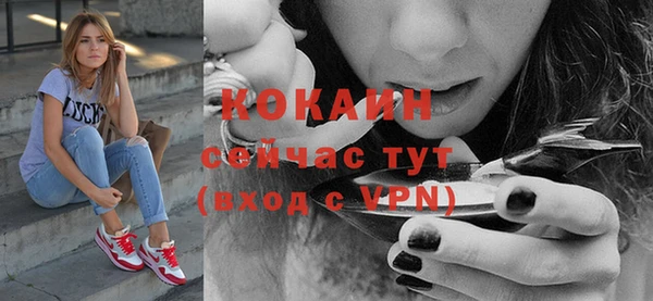 стафф Пересвет