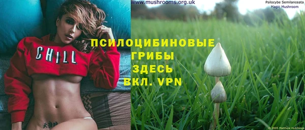 кокс Покачи