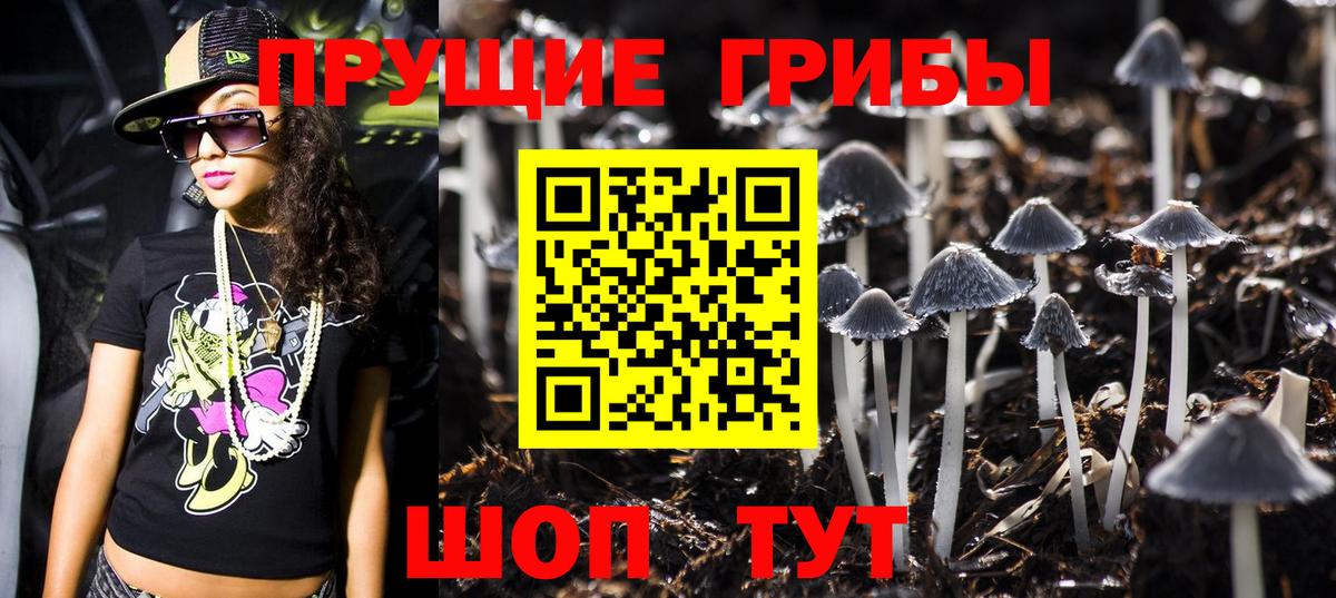 Галлюциногенные грибы GOLDEN TEACHER Ахтубинск