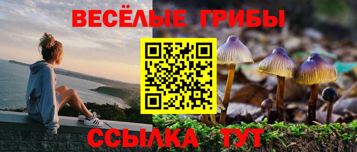 Псилоцибиновые грибы ЛСД  Галлюциногенные грибы GOLDEN TEACHER  Ахтубинск  Вход с VPN 
