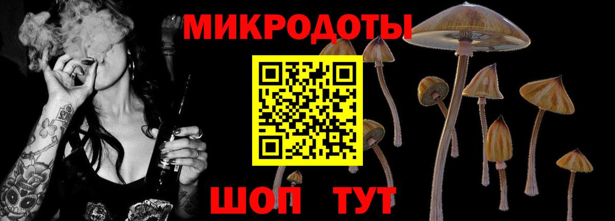 Псилоцибиновые грибы Psilocybe  Ахтубинск 