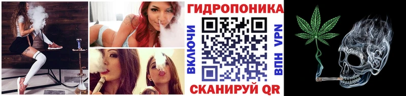 Конопля гибрид  Ахтубинск 